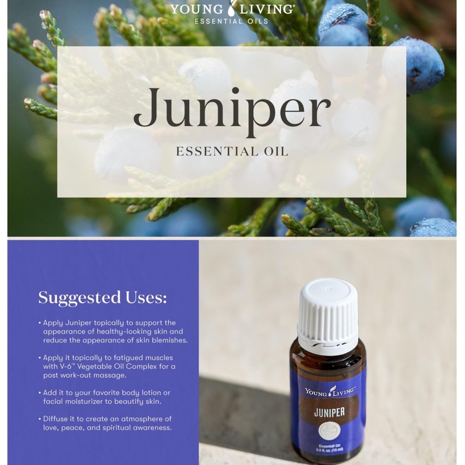 Young Living Juniper Essential Oil 15 ml | Fresh, Grounding Aroma for Diffuser, Skincare & Massage