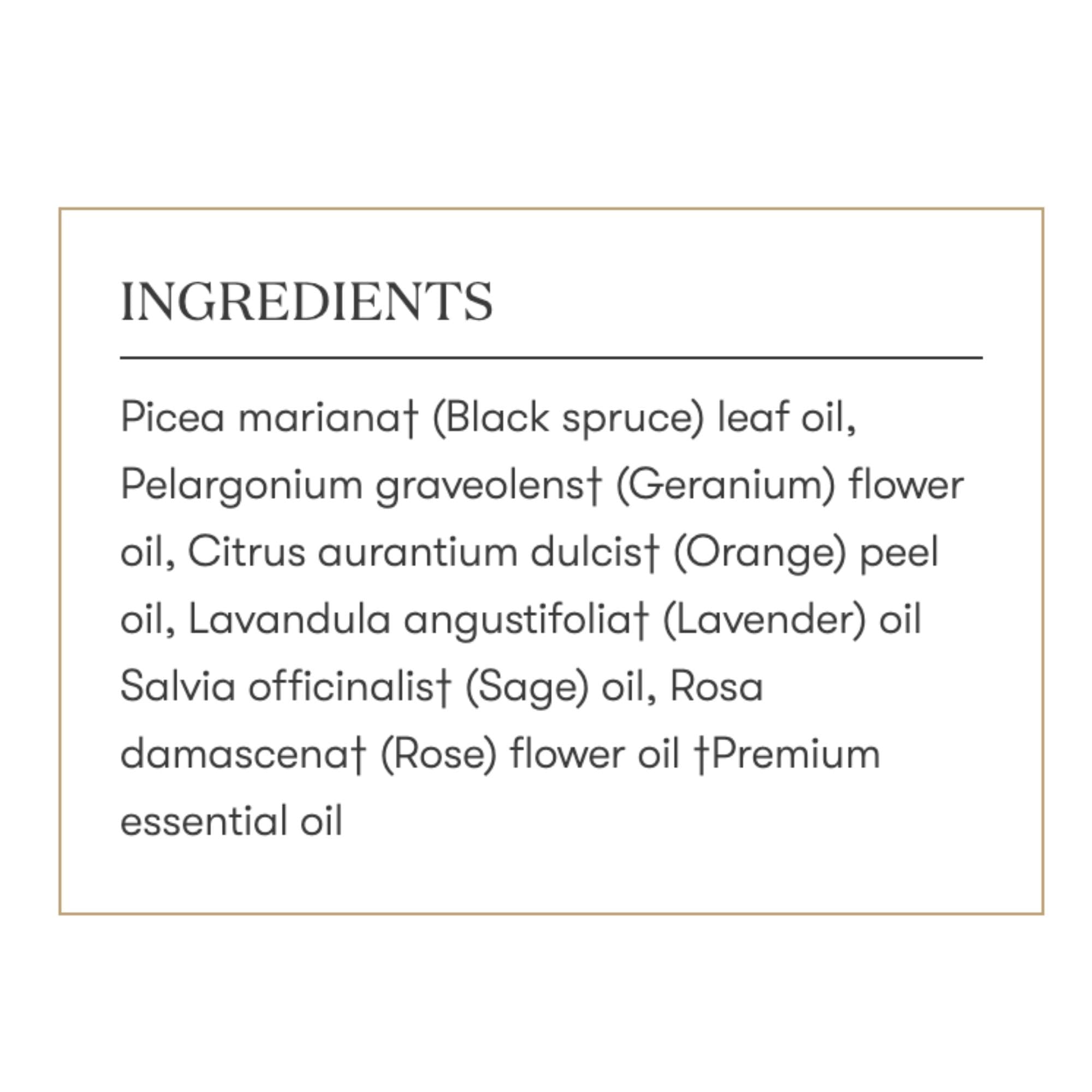 Envision Essential Oils Blend 5 ml by Young Living | Kosher Certified | Seed to Seal