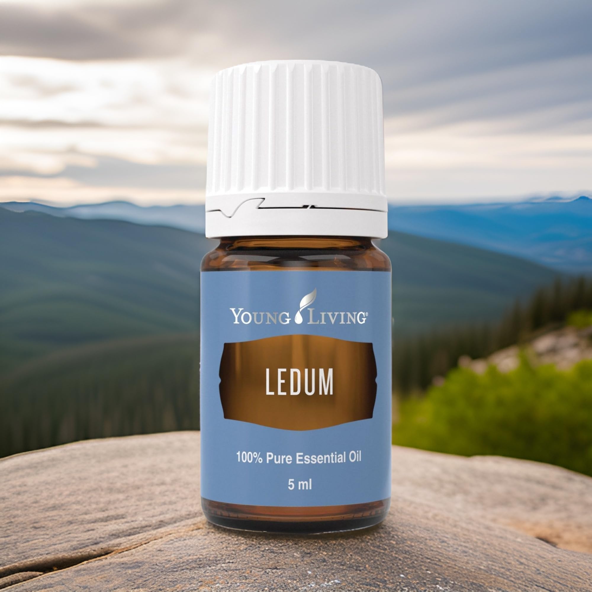 Young Living Ledum Premium Essential Oil 5ml – Meditation & Sacred Diffuser