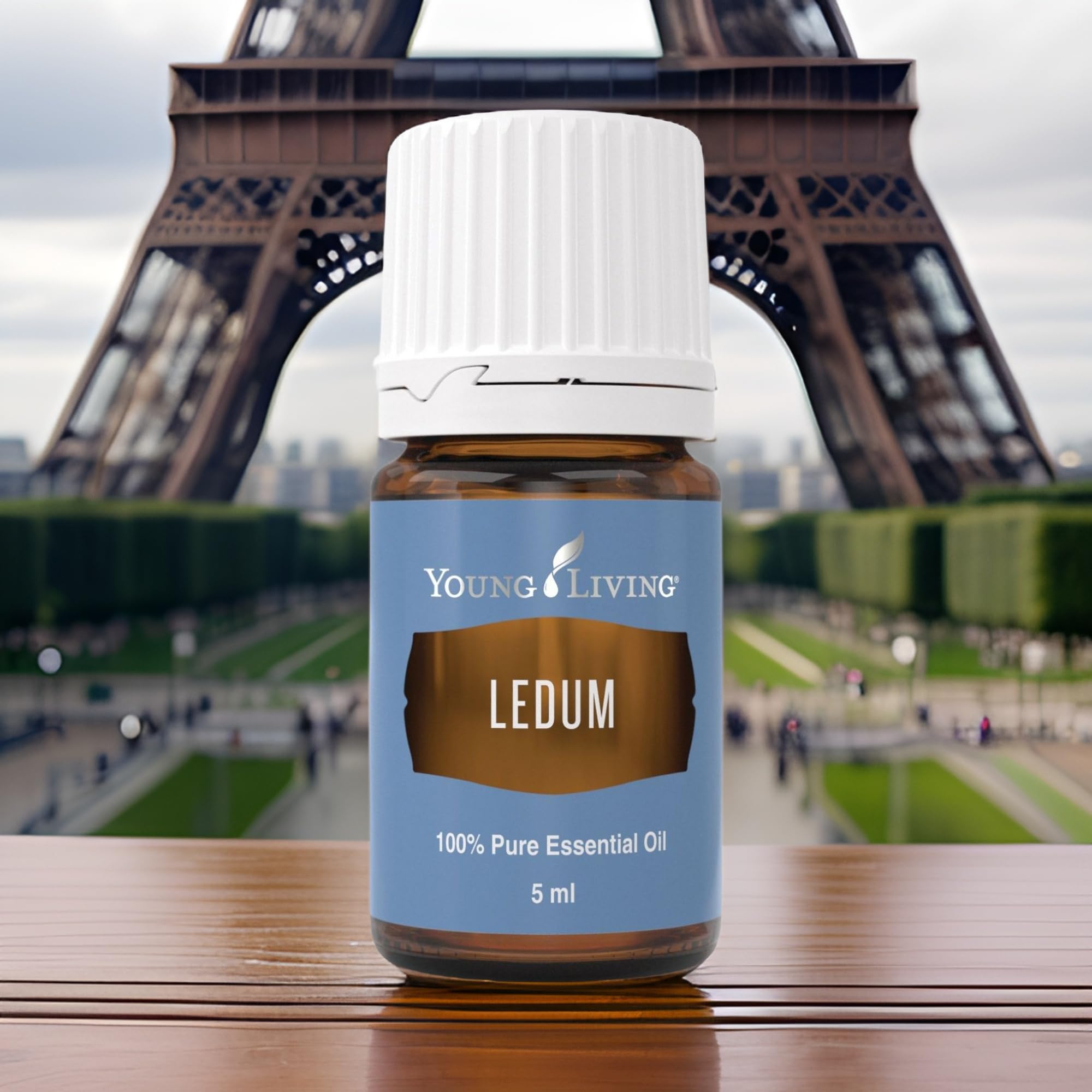 Young Living Ledum Premium Essential Oil 5ml – Meditation & Sacred Diffuser