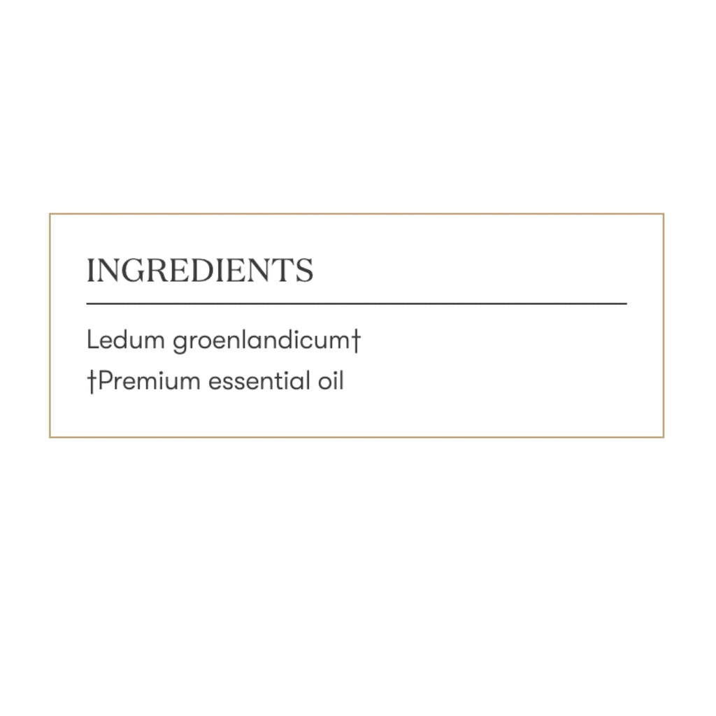 Young Living Ledum Premium Essential Oil 5ml – Meditation & Sacred Diffuser
