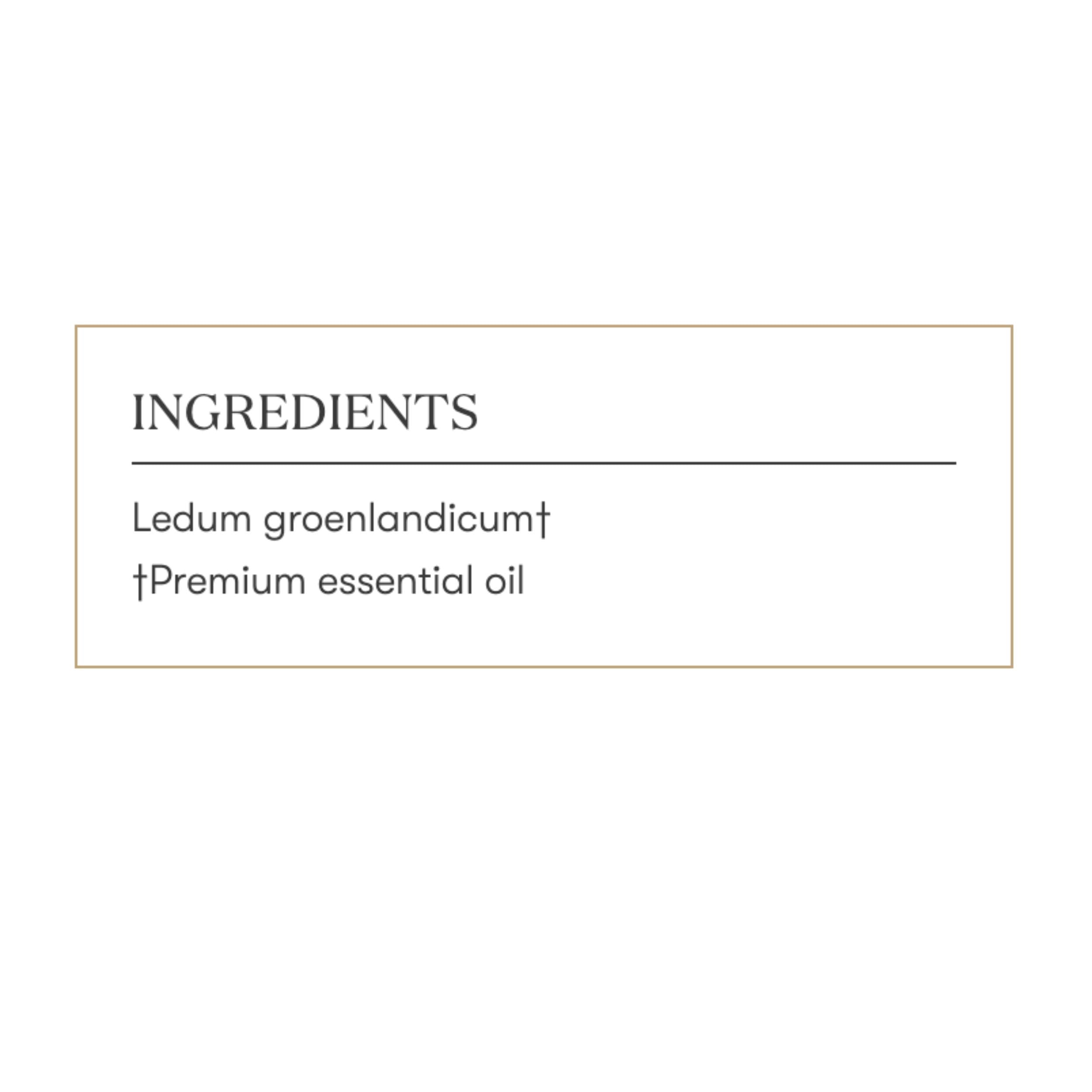 Young Living Ledum Premium Essential Oil 5ml – Meditation & Sacred Diffuser
