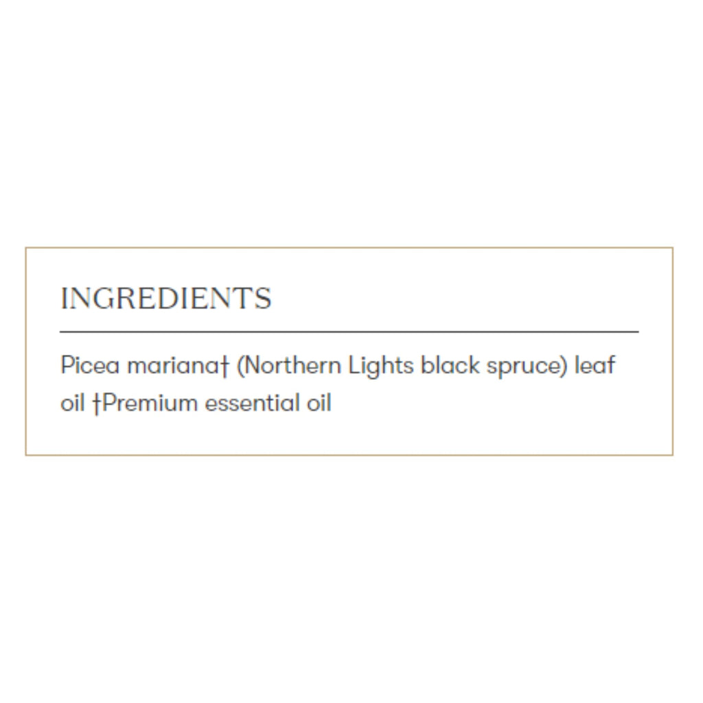 Young Living Northern Black Spruce Essential Oil 5ml – Fresh, Invigorating, Grounding Aroma