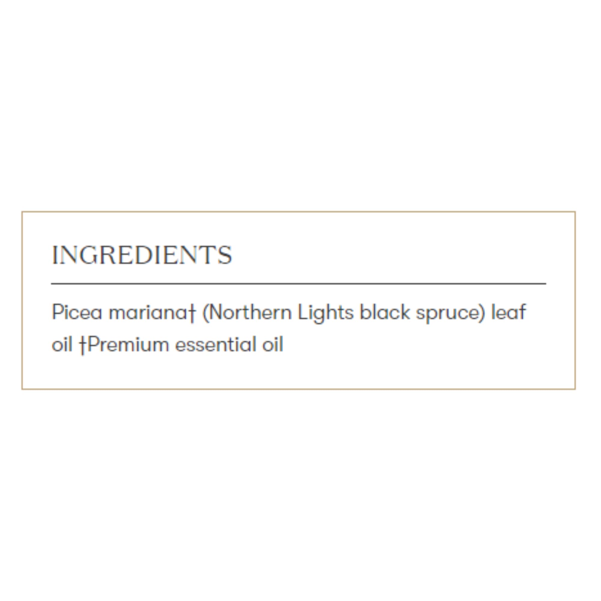 Young Living Northern Black Spruce Essential Oil 5ml – Fresh, Invigorating, Grounding Aroma