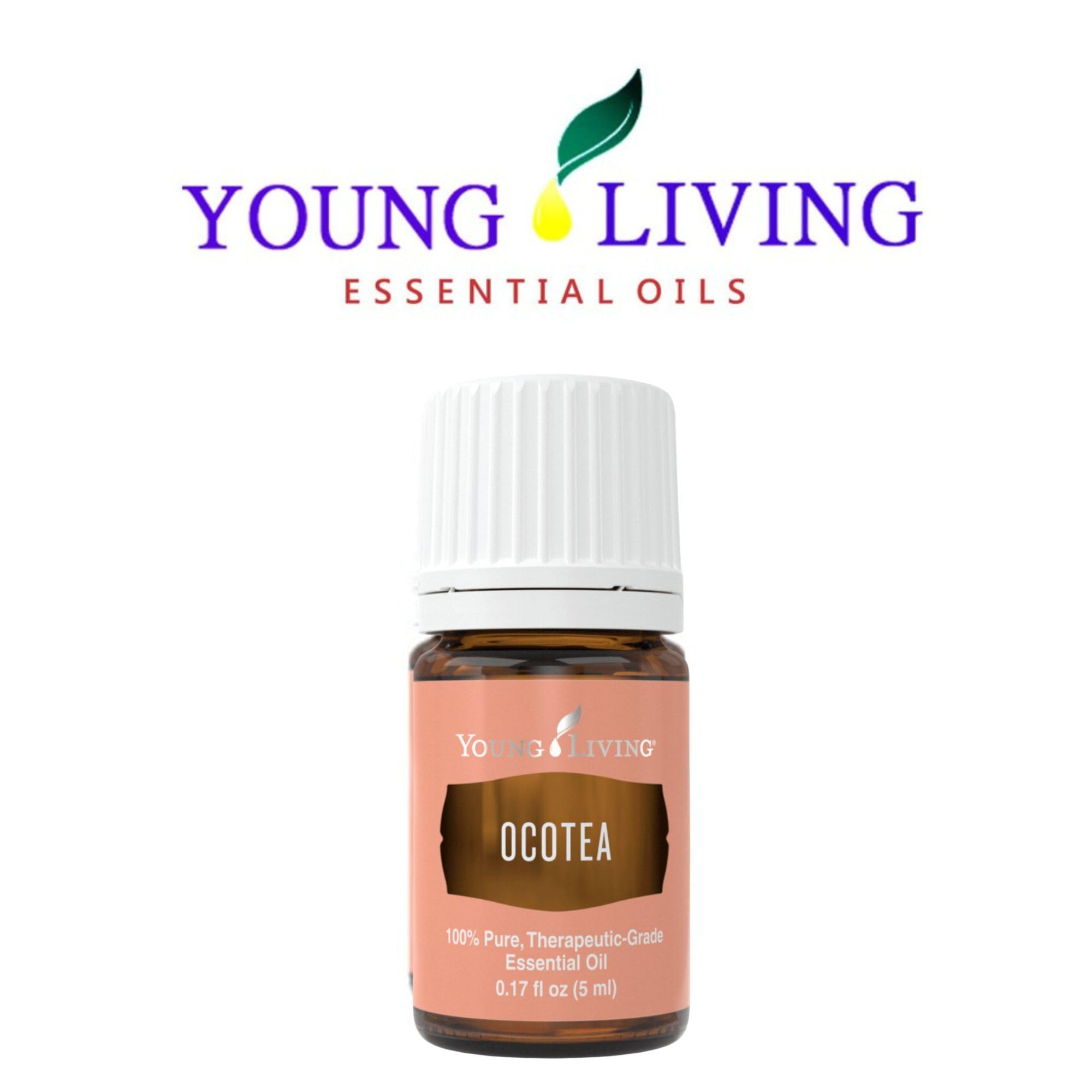Young Living Ocotea Essential Oil 5 ml | Warm, Spicy Aroma & Skin Cleansing