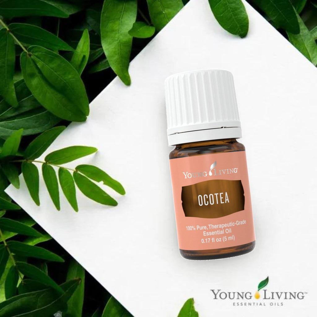 Young Living Ocotea Essential Oil 5 ml | Warm, Spicy Aroma & Skin Cleansing