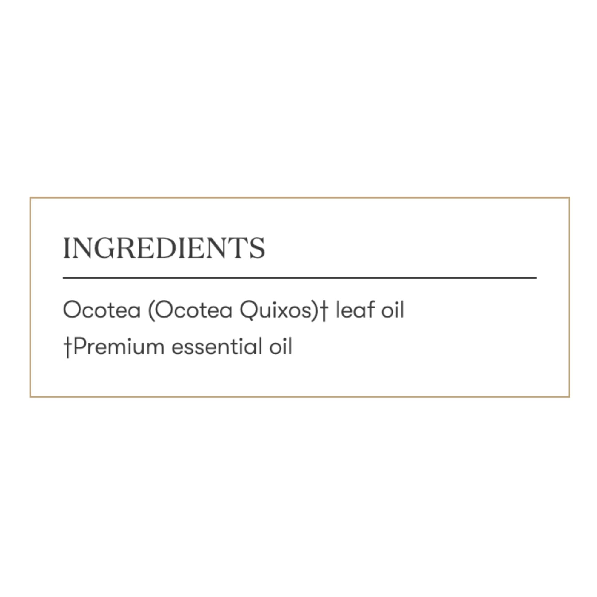 Young Living Ocotea Essential Oil 5 ml | Warm, Spicy Aroma & Skin Cleansing