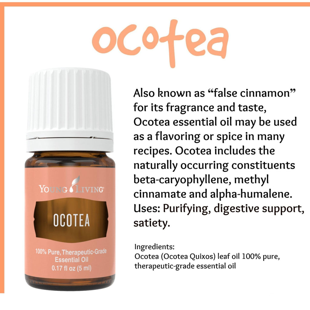 Young Living Ocotea Essential Oil 5 ml | Warm, Spicy Aroma & Skin Cleansing