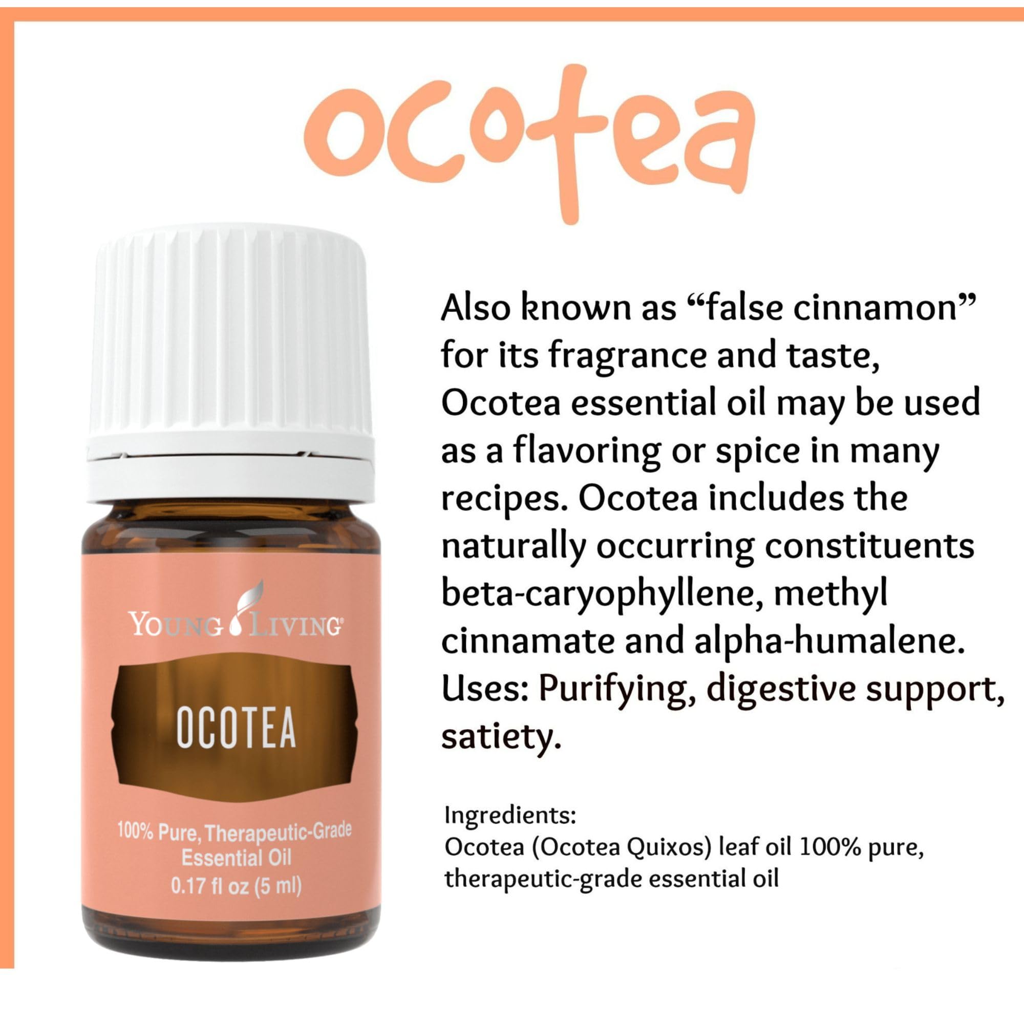 Young Living Ocotea Essential Oil 5 ml | Warm, Spicy Aroma & Skin Cleansing