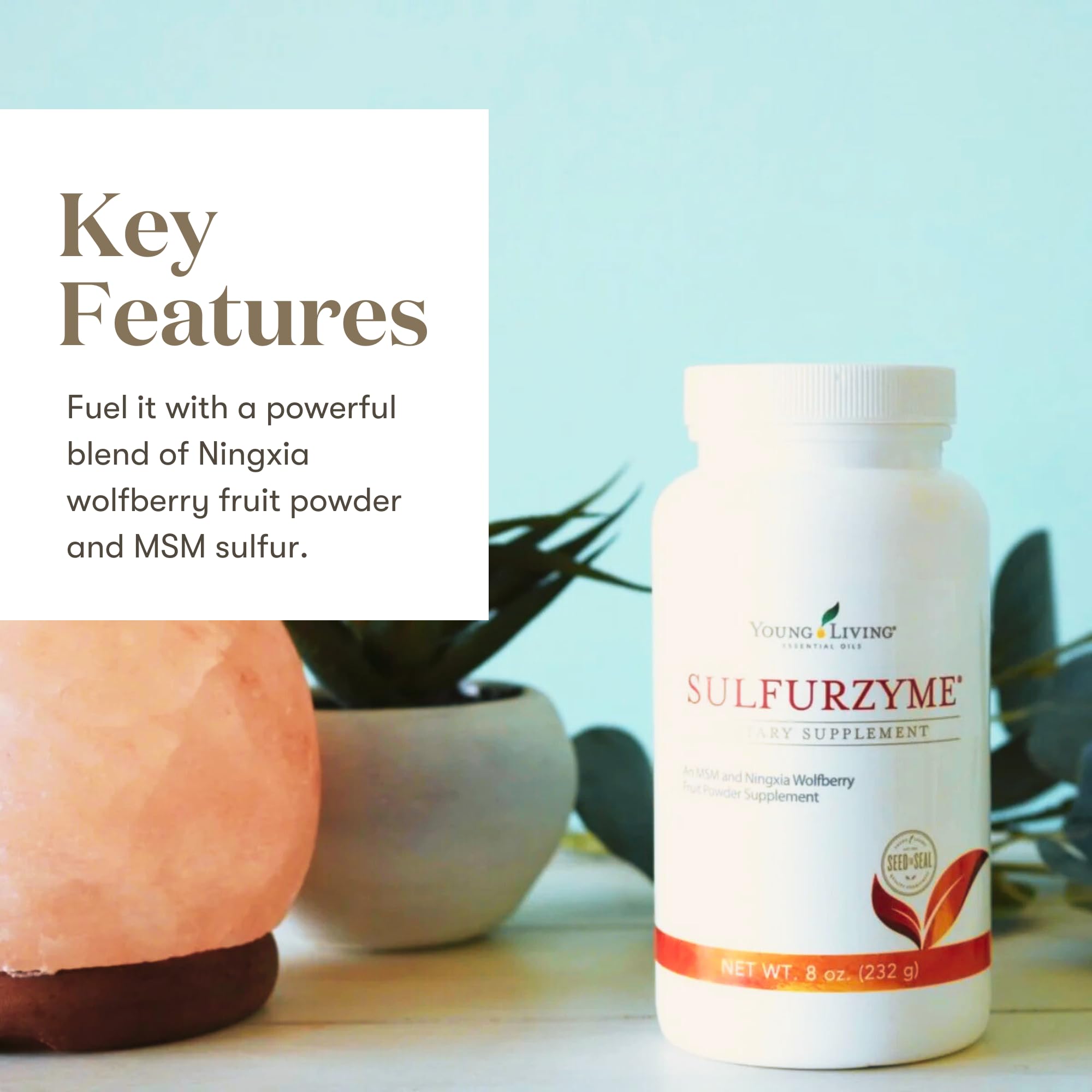 Young Living Sulfurzyme Powder – 8 oz | Joint Health, Energy & Digestion