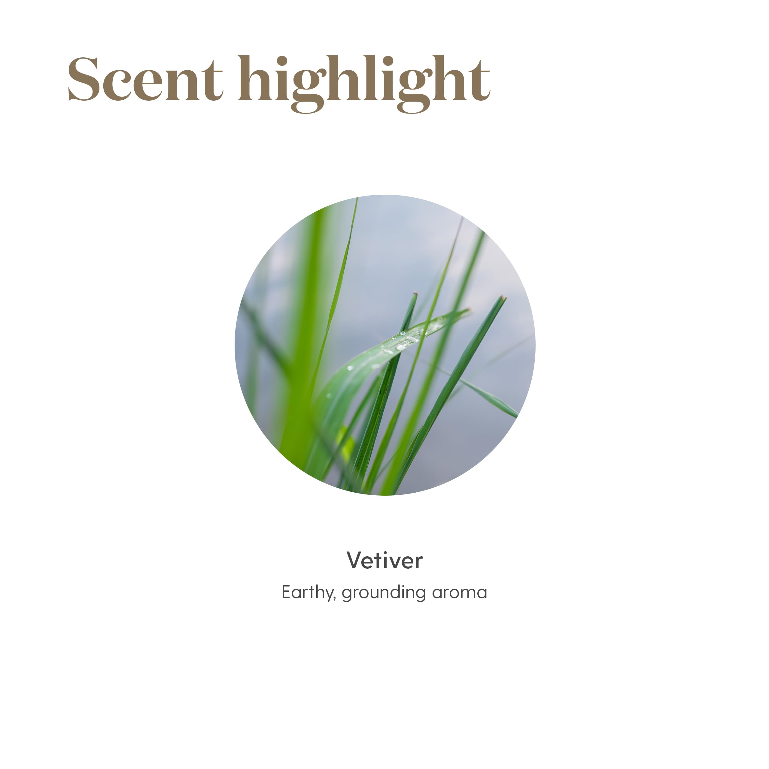 Young Living Vetiver Essential Oil 5ml – Grounding, Calming Nighttime Routine