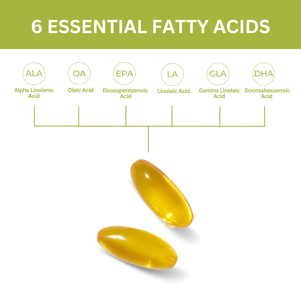 Youngevity EFA Plus 90-4 Pack – Four 90-Count Capsules of Essential Fatty Acids