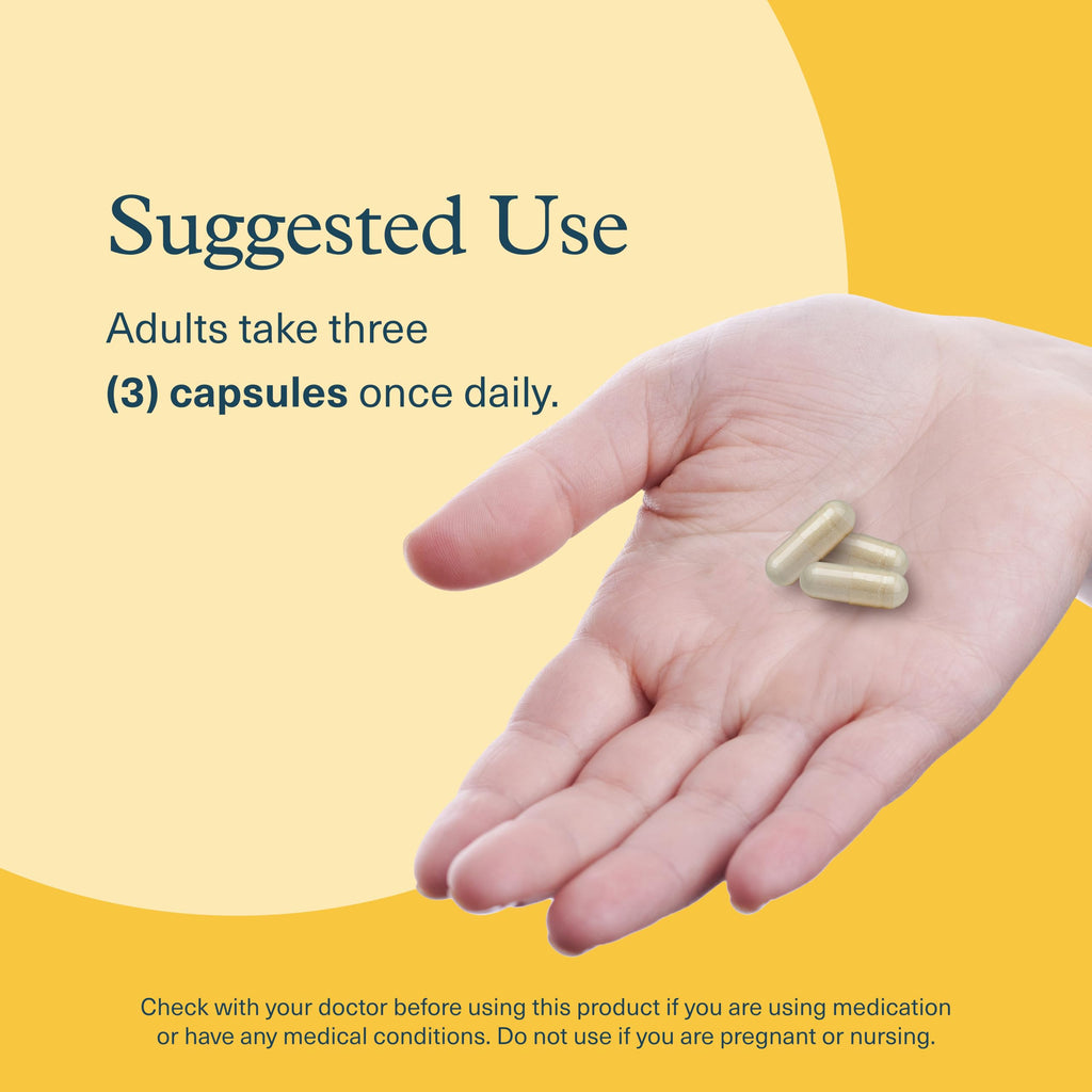 Youtheory Lion’s Mane+ Capsule 90 Vegetarian Capsules – Brain Health & Focus