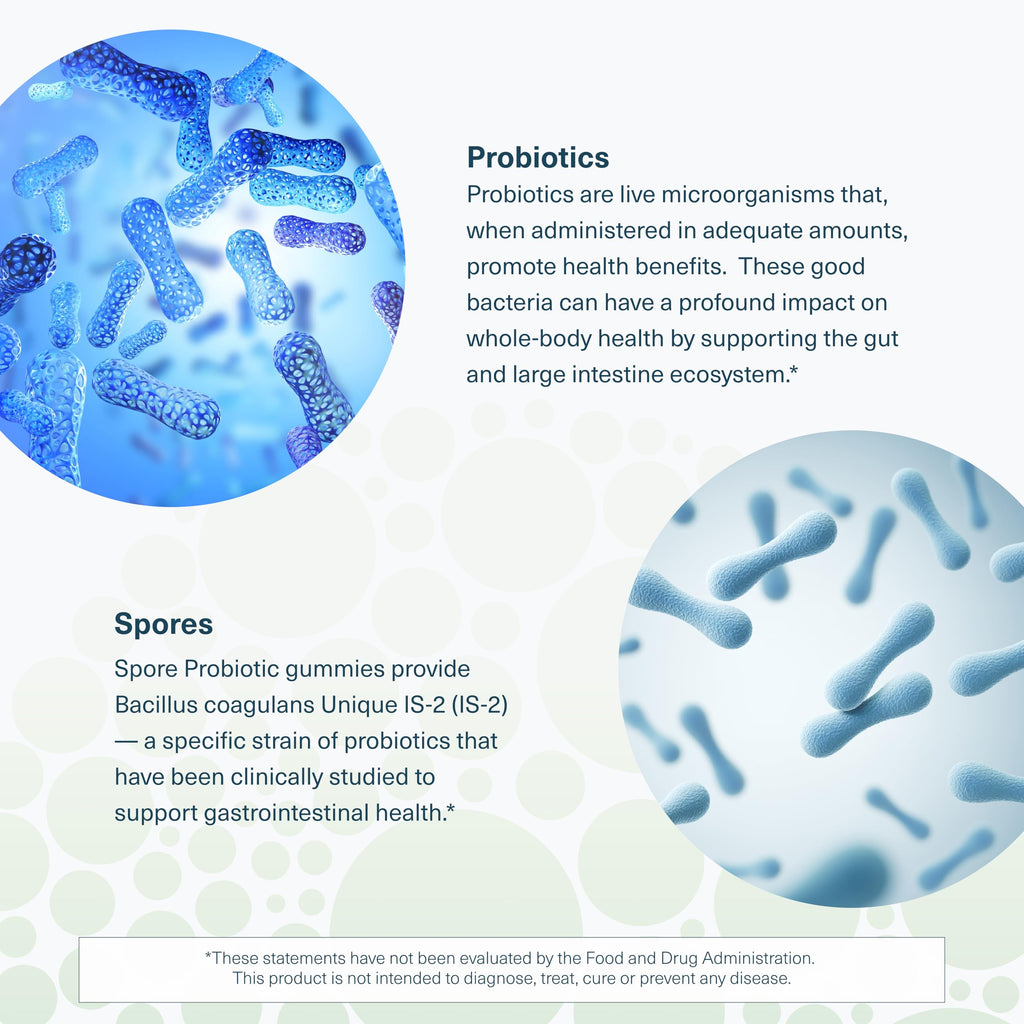 Youtheory Spore Probiotic – Vegan Gut Support, Bacillus Coagulans | 60 Gummies