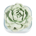 YZIVTAOTIE Jasmine Passive Diffusers – Pre-Scented, No Oil Needed