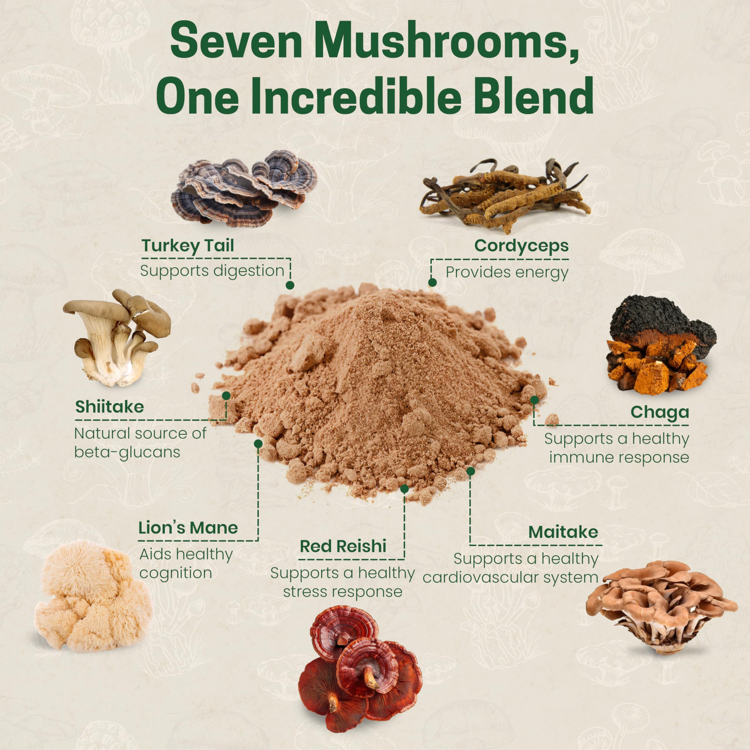 Z Natural Foods Organic 7 Mushroom Blend — Immune Support, Cognition & Wellness (7 oz)