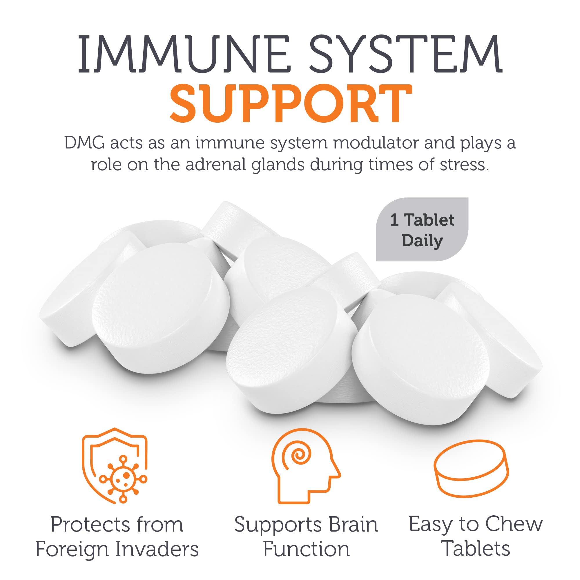 Zahler DMG 500mg Dimethylglycine - Endurance & Immune Support (90 Count)