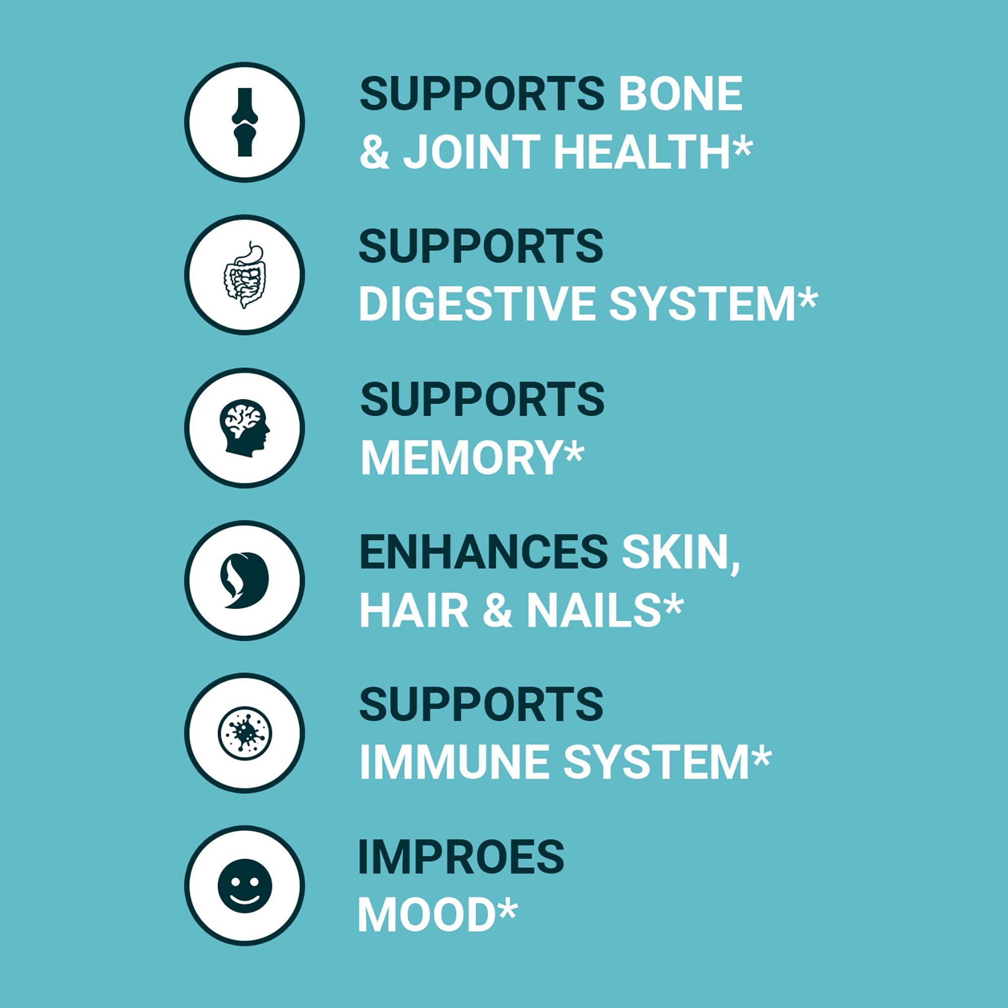 Zammex Bone Broth Protein Powder – Grass-Fed Vanilla, 10g Protein, Non-GMO