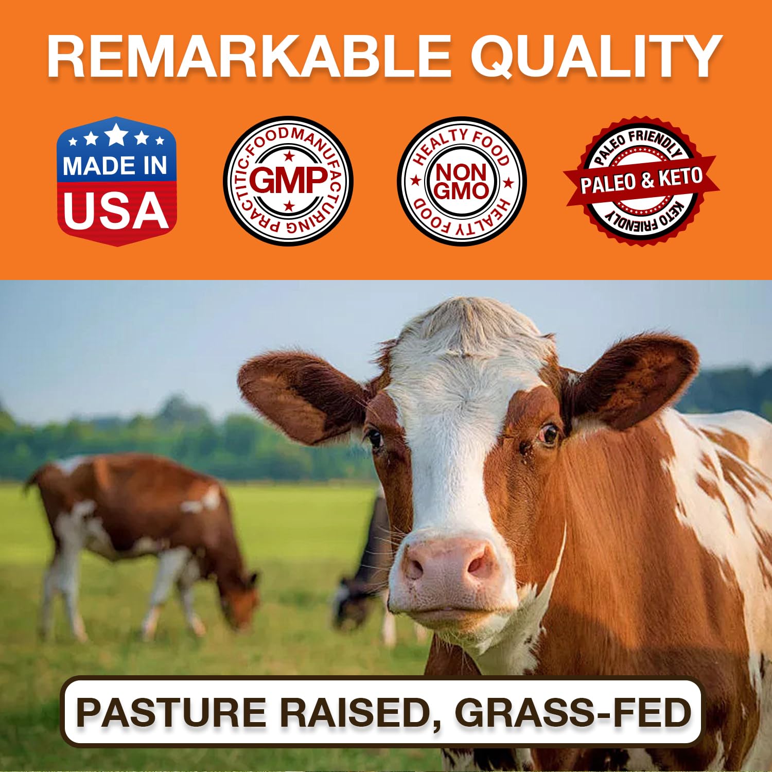 Zammex Pure Grass-Fed Beef Bone Broth Protein Powder – 20g Protein, Collagen, Non-GMO, Gluten Free