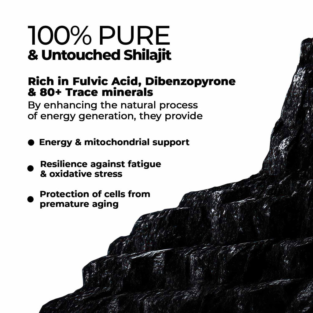 Zandu Shilajit Capsules (60 Caps) – Natural Energy, Stress Support & Immunity