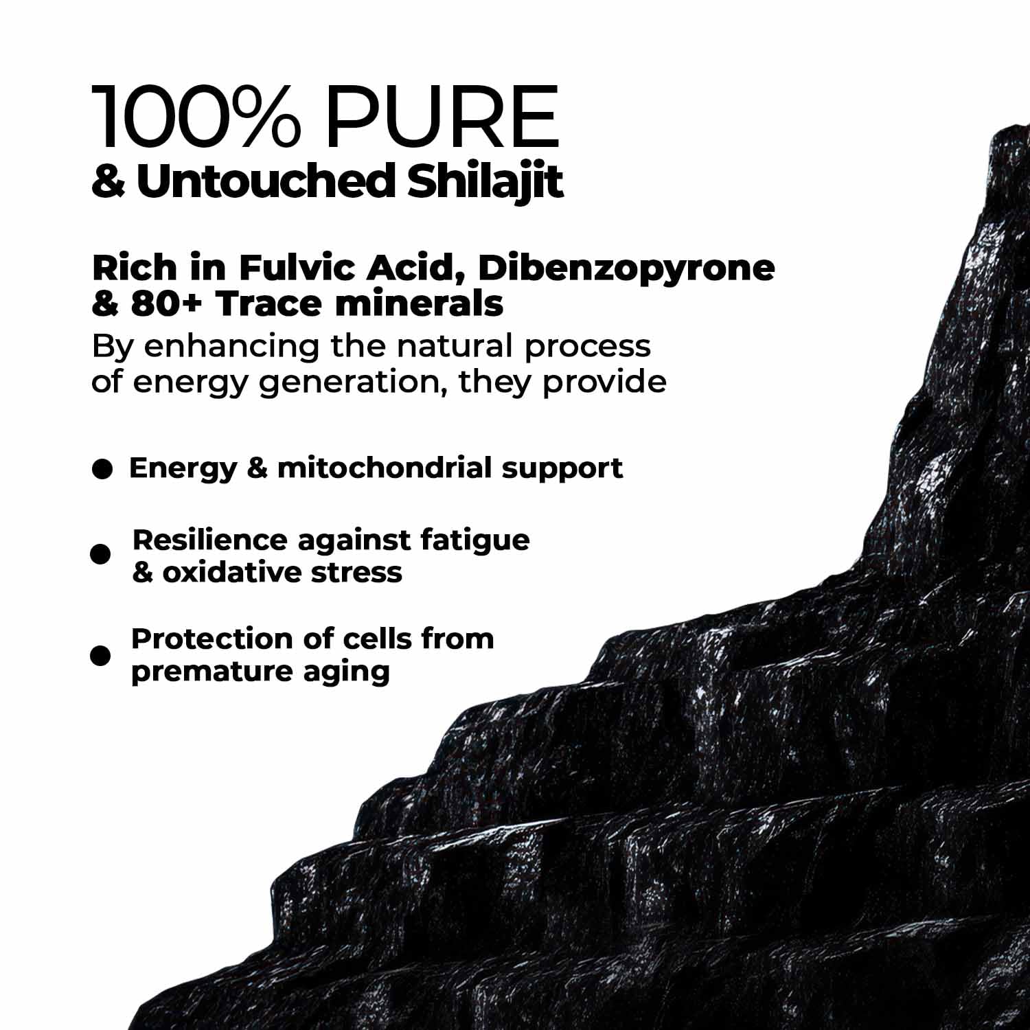 Zandu Shilajit Capsules (60 Caps) – Natural Energy, Stress Support & Immunity