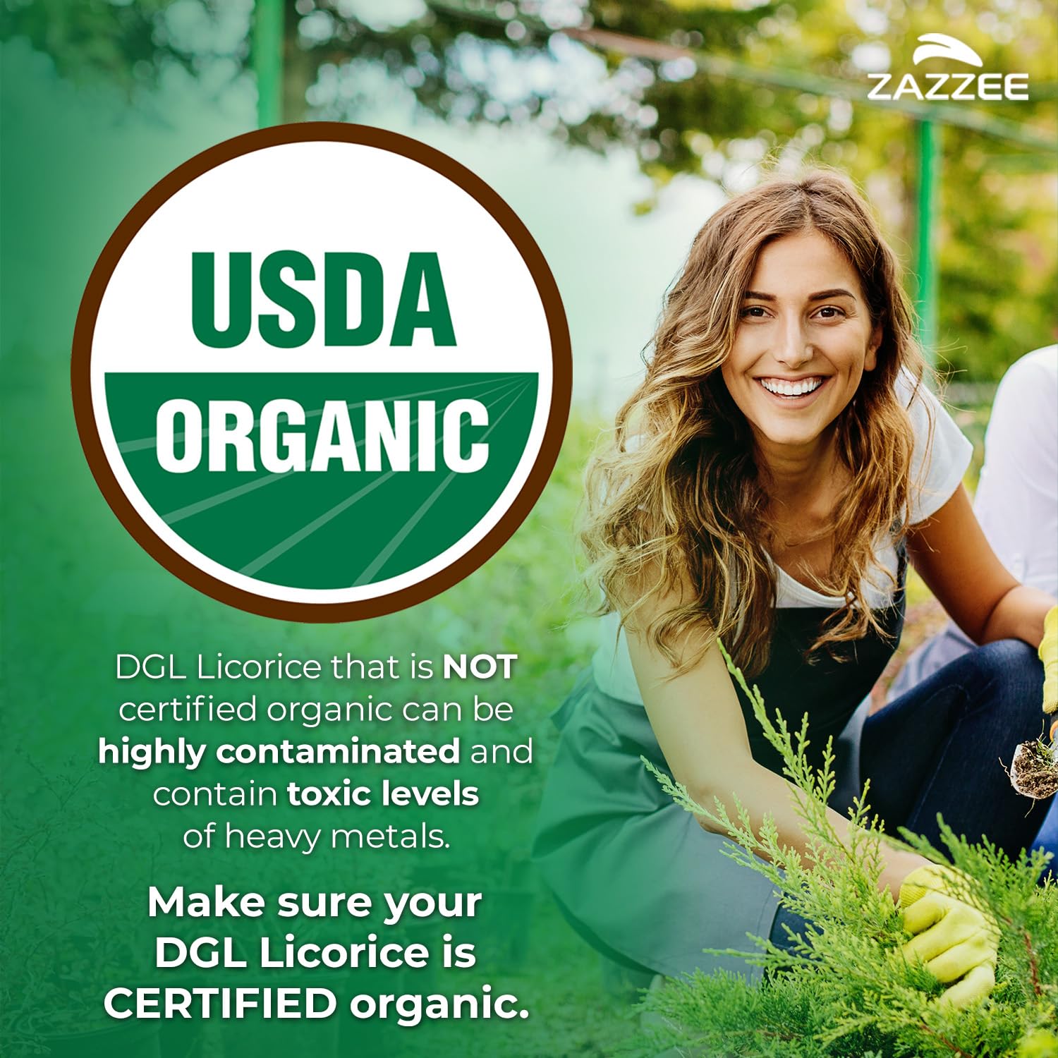 Zazzee USDA Organic DGL Licorice 7000 mg | 20:1 Extract | 120 Veg Capsules
