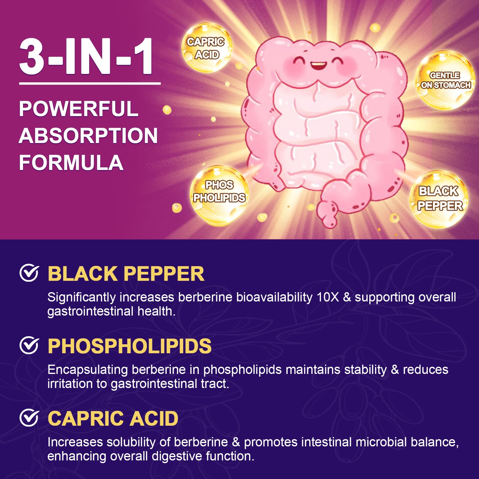 ZEBORA Berberine HCl 1200 mg – GLP-1 Support, Cinnamon, ALA, Capric Acid, 120 Capsules