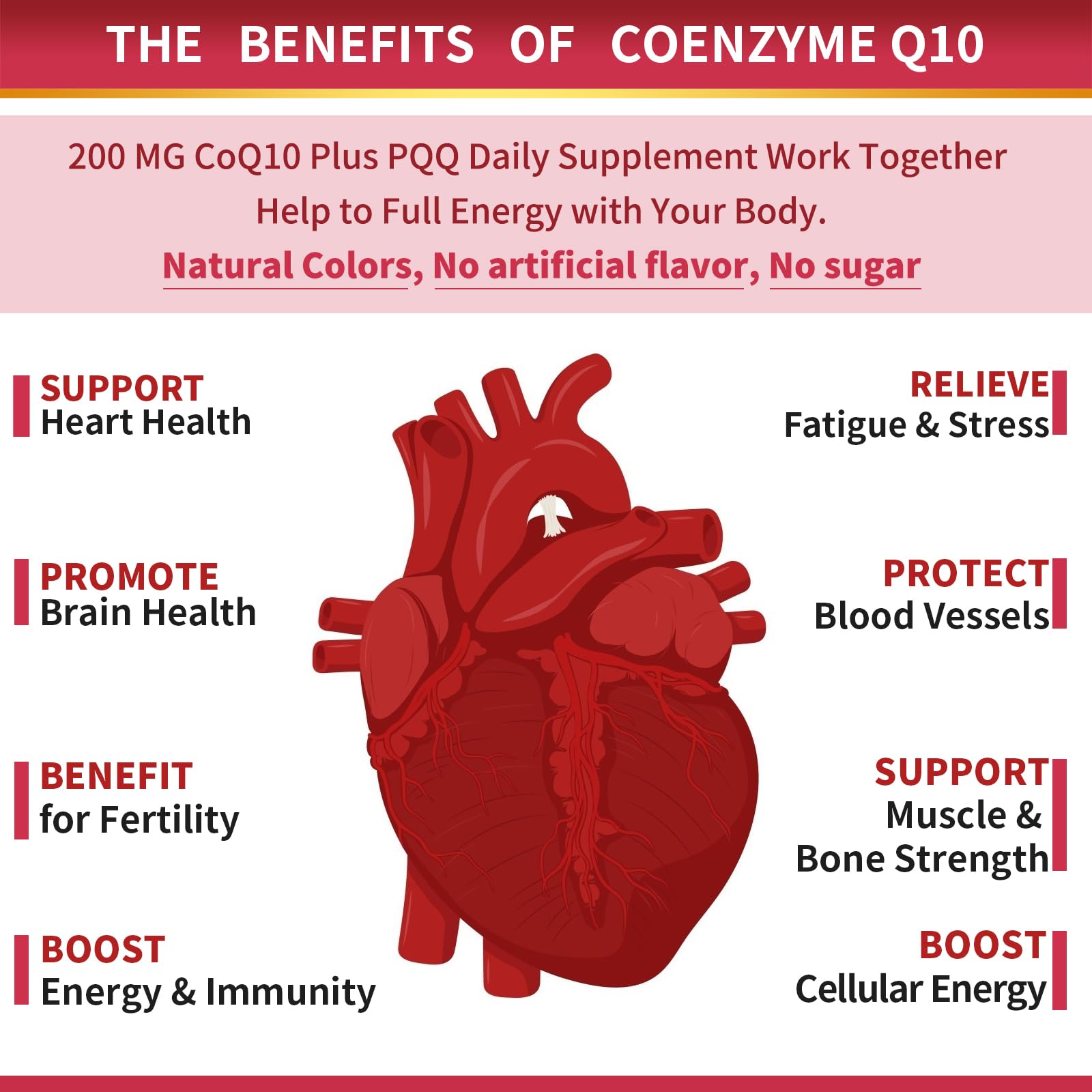 ZEBORA CoQ10-200mg Softgels with PQQ, BioPerine & Omega-3 — Pack of 2