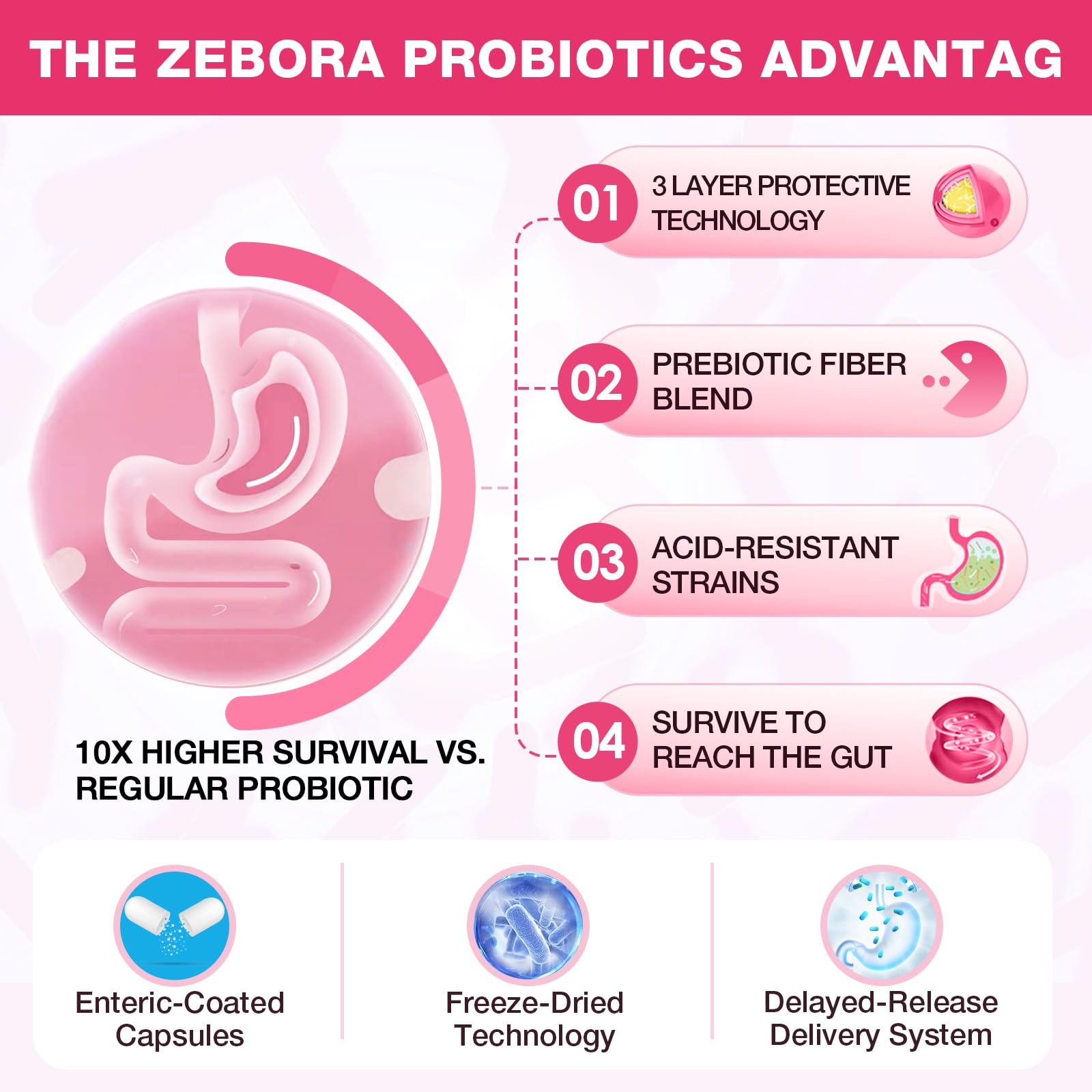 ZEBORA Probiotics for Women – Cranberry, D-Mannose, Organic Prebiotics, Vitamin C | Urinary Tract & Vaginal Health | Gluten Free | 90 Vegan Capsules
