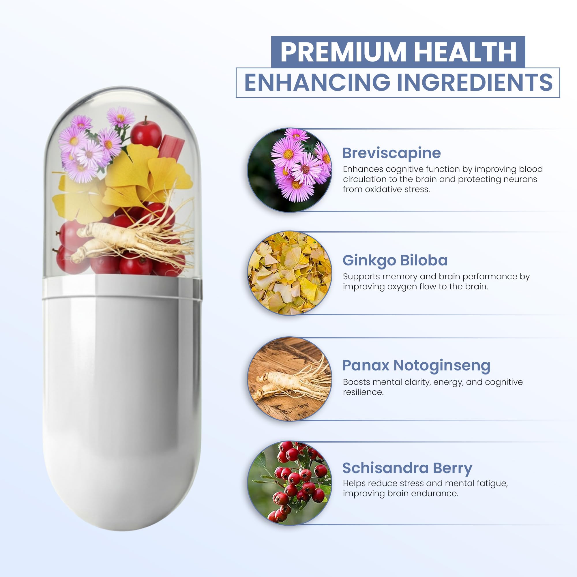 ZEN LIFE HERB IQ+ Brain - Caffeine-Free, Clinically Tested Focus, Concentration, Memory & Energy | 30 Softgels