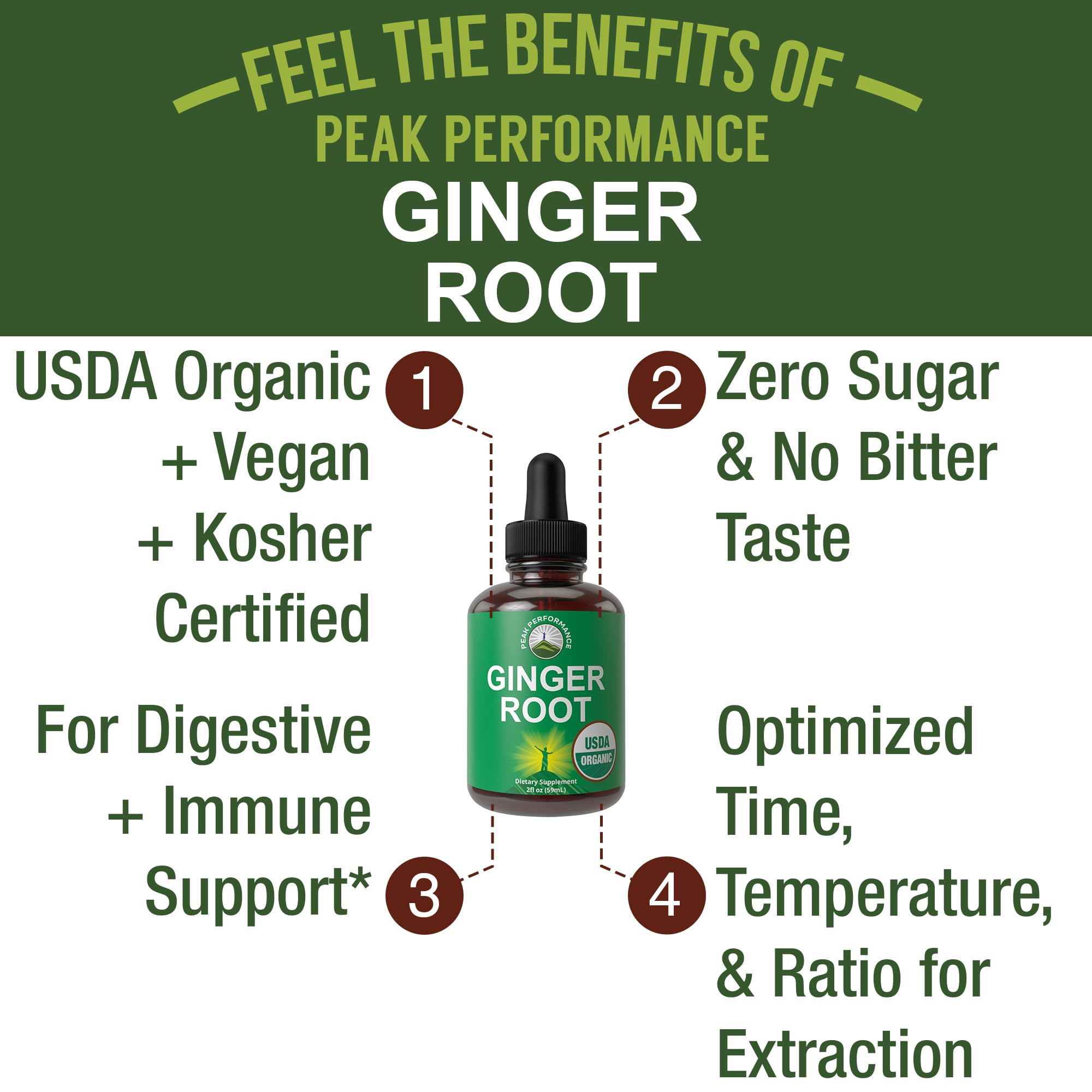 USDA Organic Ginger Root Liquid Drops – Zero Sugar, Vegan, Immune & Digestive Support