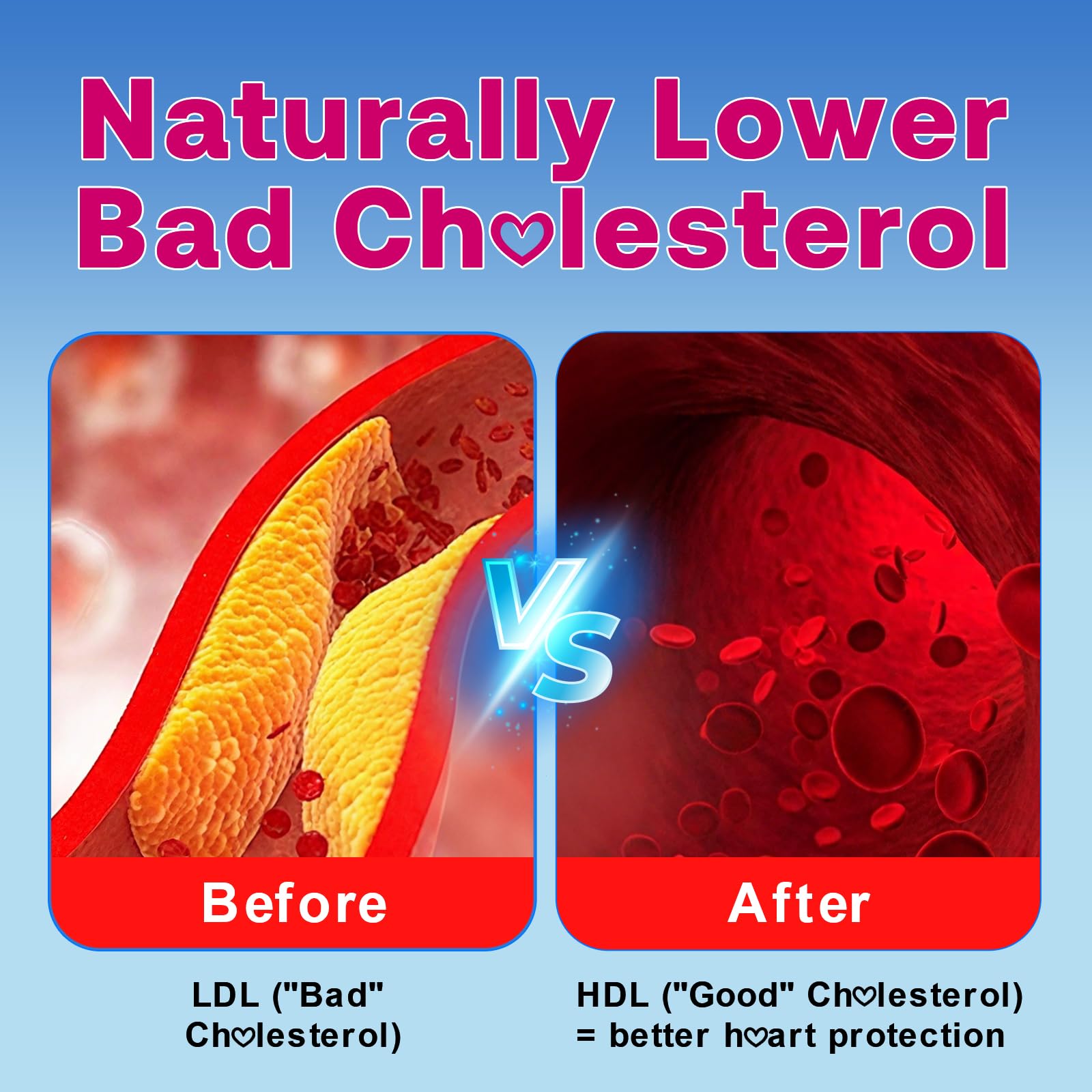 Zetelixia Cholesterol Lowering Gummies – Plant Sterols & Stanols, Red Yeast Rice | Vegan, Non-GMO | Mixed Berry 90Ct
