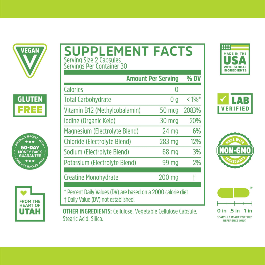 Zhou Fast Support - Fasting Electrolytes No Sugar | Intermittent Fasting Supplement | 60 Veggie Capsules