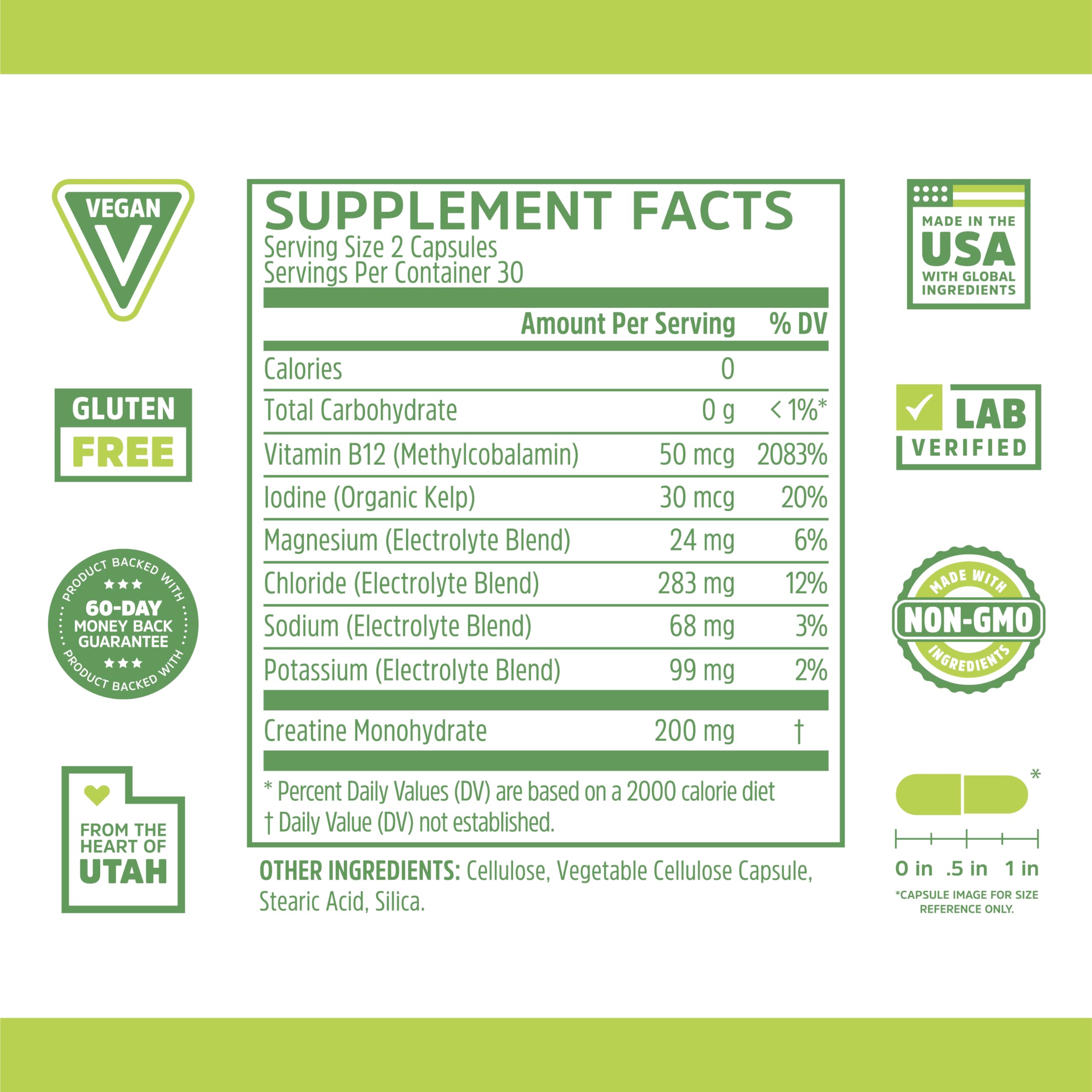 Zhou Fast Support - Fasting Electrolytes No Sugar | Intermittent Fasting Supplement | 60 Veggie Capsules