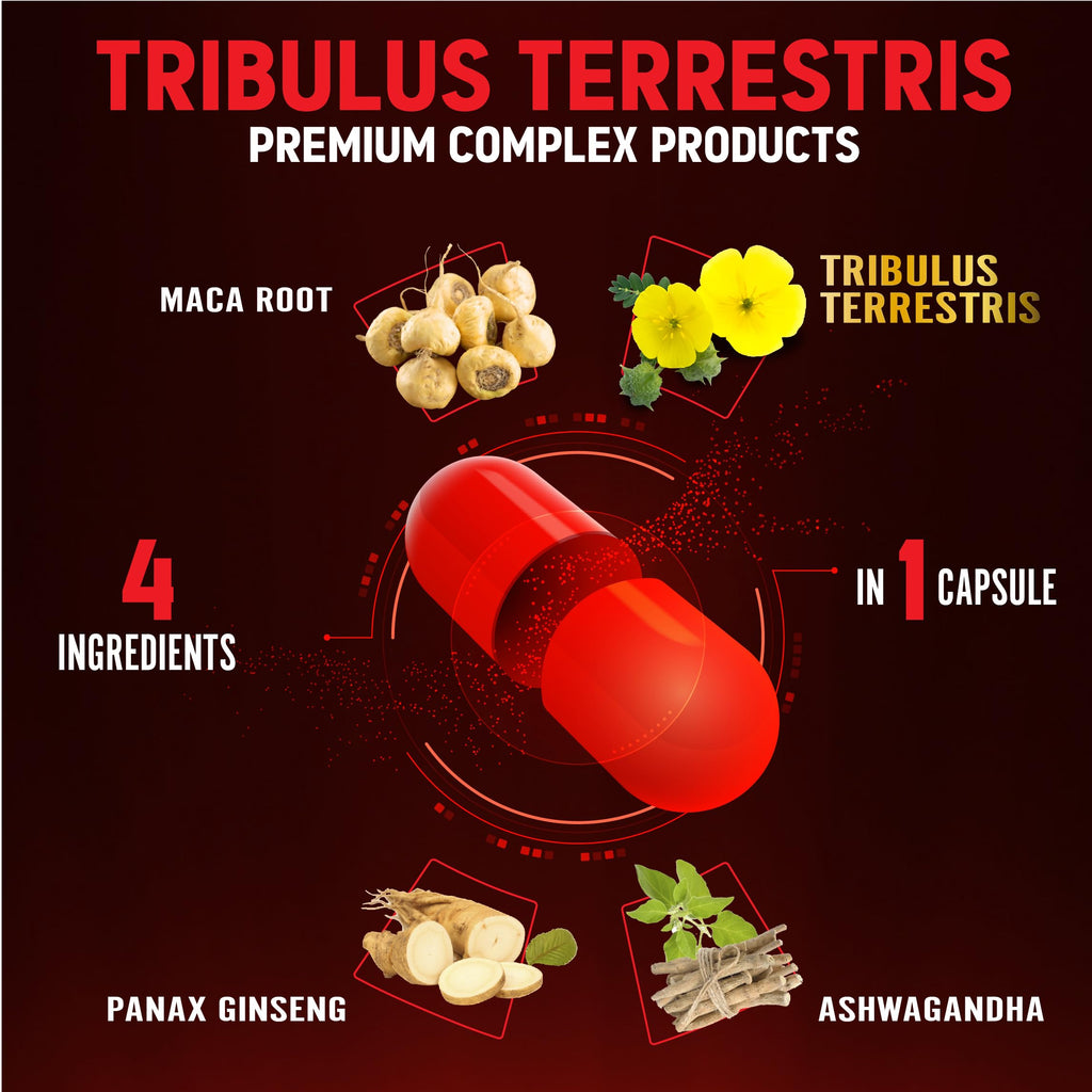 Zolotus 2 Packs Tribulus Terrestris with Maca Root Ashwagndha Root Panax Ginseng - 6 Months Supply